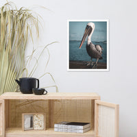 Bob The Pelican 2 Colorized Wildlife Photo Framed Wall Art Prints