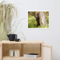Cute Baby Grizzly Bear Cub Behind Tree In Meadow Animal Wildlife Photograph Framed Wall Art Prints