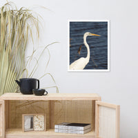 Great White Egret Animal Wildlife Photograph Framed Wall Art Prints