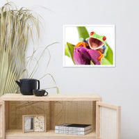 Happy Red Eyed Tree Frog Sitting on Purple Tulip Flower Bloom Wildlife Nature Photo Framed Wall Art Print