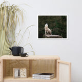 Howling White Wolf In The Forest Animal Wildlife Photograph Framed Wall Art Print