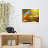 Kingfisher Bird on Perch 2 Animal Wildlife Photo Framed Wall Art Prints