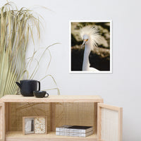 Snowy Egret Animal Wildlife Photograph Framed Wall Art Prints