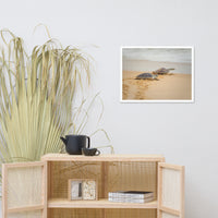 Baby Hawksbill Sea Turtle on the Beach Animal Wildlife Nature Framed Wall Art Prints