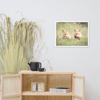 Baby Red Foxes Learning to Hunt Animal Wildlife Photograph Framed Wall Art Prints