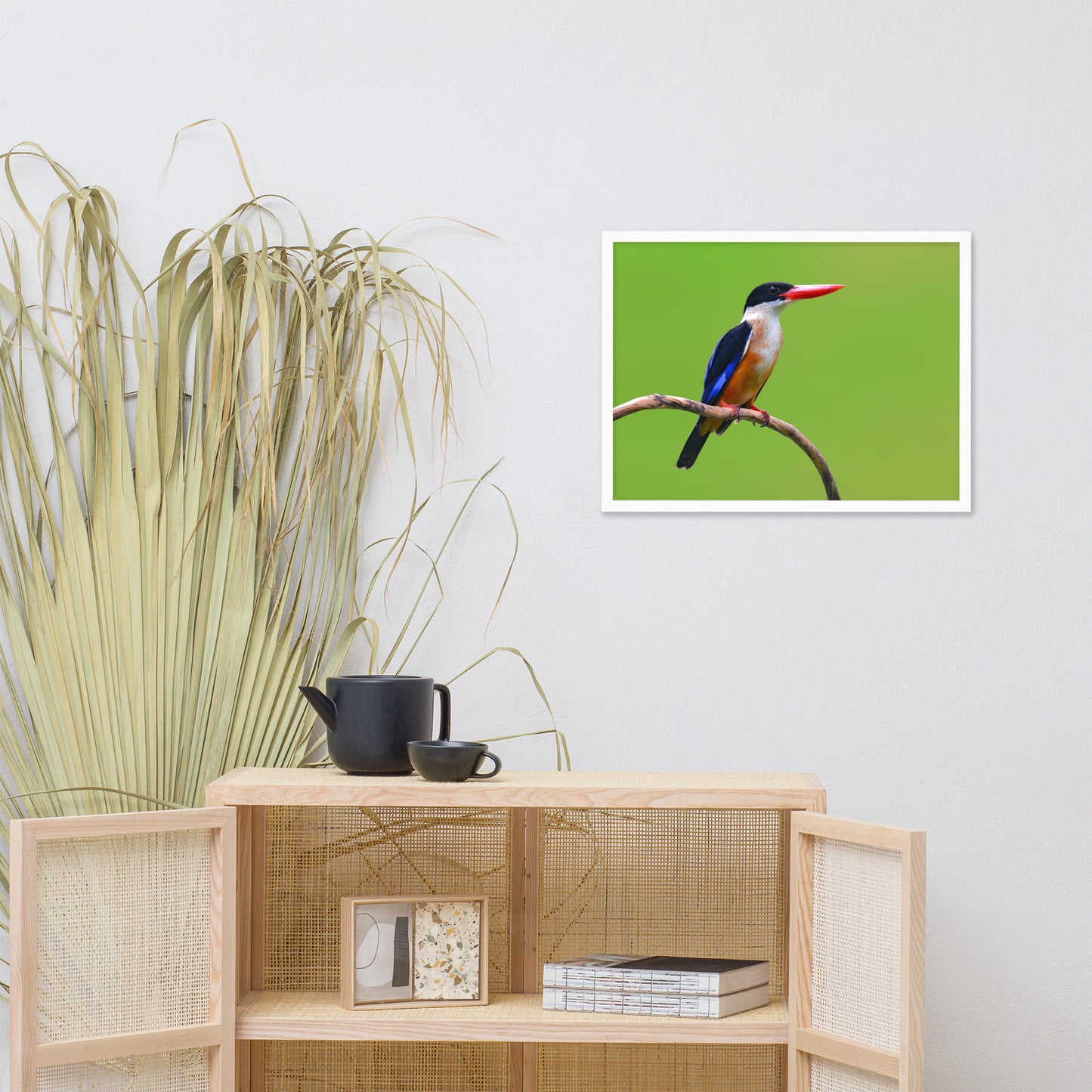 Black Capped Kingfisher Bird on Perch Animal Wildlife Photograph Framed Wall Art Prints