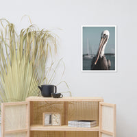 Bob The Pelican Bird 3 Colorized Wildlife Photo Framed Wall Art Prints