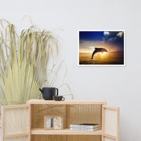 Dramatic Coastal Sunset On The Water With Jumping Bottle Noise Dolphin Animal Wildlife Photograph Framed Wall Art Print