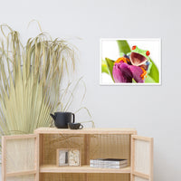 Happy Red Eyed Tree Frog Sitting on Purple Tulip Flower Bloom Wildlife Nature Photo Framed Wall Art Print