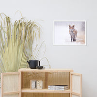 Happy Smiling Red Fox In The Snow Animal Wildlife Nature Photograph Framed Wall Art Prints