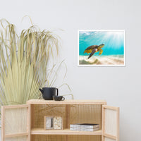 Hawaiian Green Sea Turtle In Turquoise Blue Sea and Sandbars Animal Wildlife Photograph Framed Wall Art Print