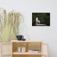 Howling White Wolf In The Forest Animal Wildlife Photograph Framed Wall Art Print