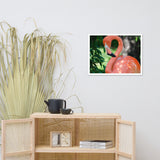Pinky the Pink Flamingo Animal Wildlife Photograph Framed Wall Art Prints