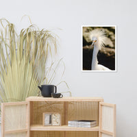 Snowy Egret Animal Wildlife Photograph Framed Wall Art Prints