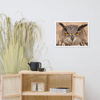 Close-up Yellow Eurasian Eagle Owl Wildlife Animal Framed Wall Art Print