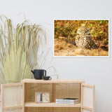 Burrowing Owl in Golden Light Wildlife Nature Photo Framed Wall Art Prints