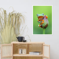 Tiny Green Tree Frog on Lotus Bloom Animal Wildlife Floral Nature Photograph Framed Wall Art Prints