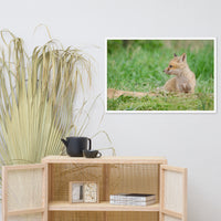 Baby Red Fox Chillin Wildlife Photo Framed Wall Art Prints