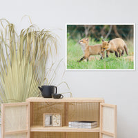 Baby Red Foxes Head Held High Animal Wildlife Photograph Framed Wall Art Prints