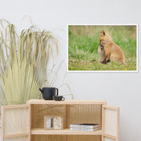 Baby Red Foxes Sibling Kisses Animal Wildlife Photograph Framed Wall Art Prints