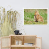Baby Red Foxes Sibling Kisses Animal Wildlife Photograph Framed Wall Art Prints