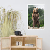 Big Standing Brown Bear On Mountain Top Animal Wildlife Photograph Framed Wall Art Prints