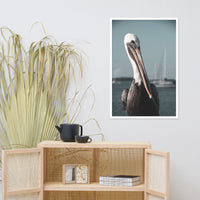 Bob The Pelican Bird 3R Colorized Wildlife Photo Framed Wall Art Prints