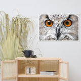 Close-up Yellow Owl Eyes Animal Wildlife Photograph Framed Wall Art Print