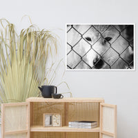 Dreams of Freedom in Black and White Animal Wildlife Photograph Framed Wall Art Prints