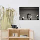 Drying Wings After Storm in Black and White Animal Wildlife Photograph Framed Wall Art Prints