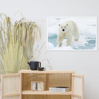 Giant White Polar Bear Walking On Icy Lake Animal Wildlife Photograph Framed Wall Art Prints