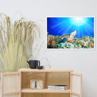 Green Sea Turtle In Tropical Coral Reef and Sunbeams Animal Wildlife Photograph Framed Wall Art Print