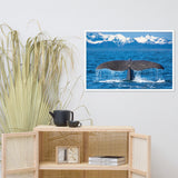 Sperm Whale Tall Splashing In Blue Water With Mountains Of Norway Animal Wildlife Photograph Framed Wall Art Print