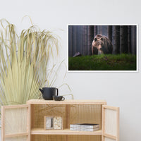 Brown Bear Walking Through Forest Wildlife Photo Framed Wall Art Prints
