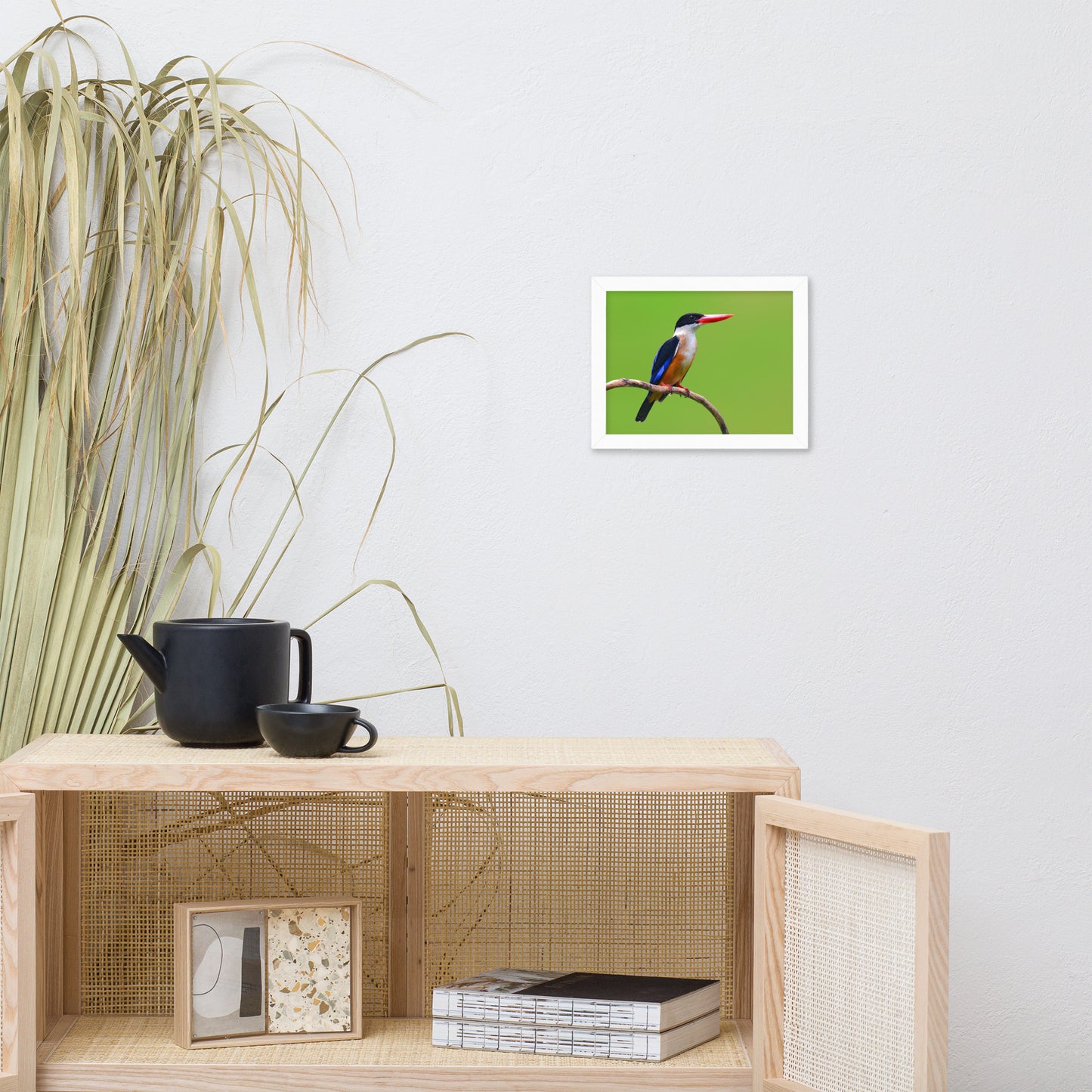 Black Capped Kingfisher Bird on Perch Animal Wildlife Photograph Framed Wall Art Prints