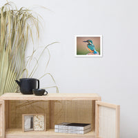 Common Kingfisher Bird on Perch Animal Wildlife Photograph Framed Wall Art Prints