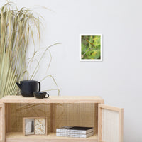 Dragonfly Wildlife Photo Framed Wall Art Prints