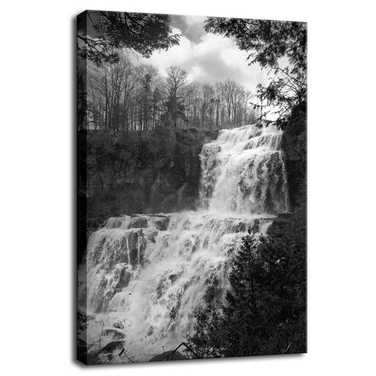 Chittenango Waterfall in Black and White Fine Art Canvas Wall Art Prints  - PIPAFINEART