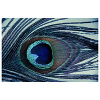 Eye of the Peacock Abstract Photo Fine Art Canvas & Unframed Wall Art Prints  - PIPAFINEART
