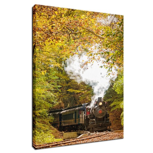 Steam Train with Autumn Foliage Rural Fine Art Canvas Wall Art Prints  - PIPAFINEART