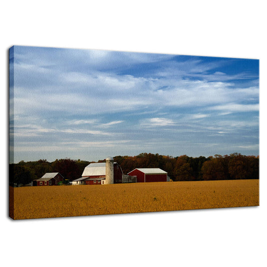 Red Barn in Golden Field Rural Landscape Photo Fine Art Canvas Wall Art Prints  - PIPAFINEART
