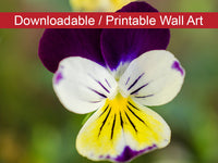 Pretty Little Violets Floral Nature Photo DIY Wall Decor Instant Download Print - Printable  - PIPAFINEART