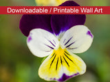 Pretty Little Violets Floral Nature Photo DIY Wall Decor Instant Download Print - Printable  - PIPAFINEART