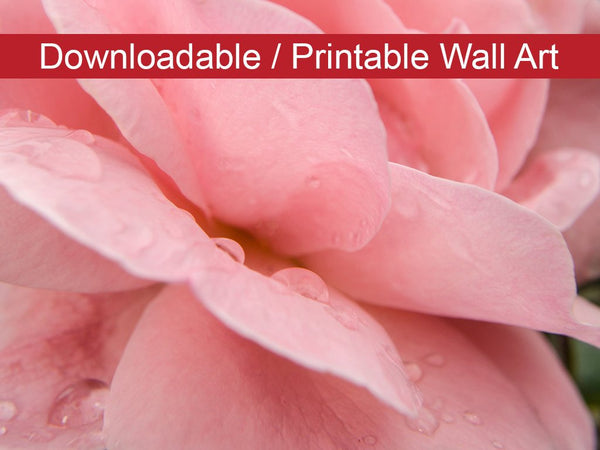 Pink Passion Floral Nature Photo DIY Wall Decor Instant Download Print - Printable  - PIPAFINEART