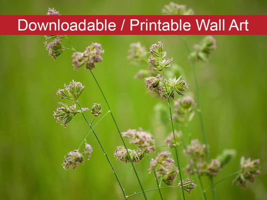Softened Fields Botanical Nature Photo DIY Wall Decor Instant Download Print - Printable  - PIPAFINEART