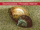 Dreamy Beach Seashells Colorized Coastal Nature Photo DIY Wall Decor Instant Download Print - Printable  - PIPAFINEART