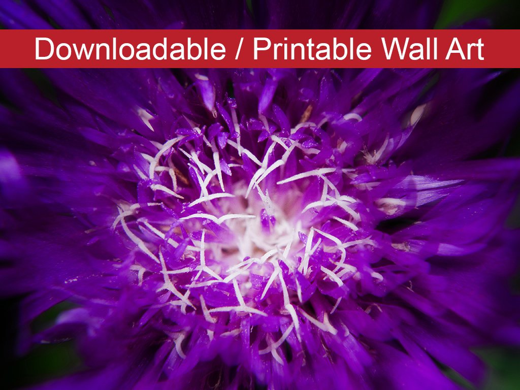 Designer Printable Wall Art: Abstract Flower DIY Floral Nature Wall Decor Instant Download Print - PIPAFINEART