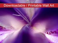 Iris Center Petals Floral Nature Photo DIY Wall Decor Instant Download Print - Printable  - PIPAFINEART