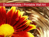 Floating Mum Floral Nature Photo DIY Wall Decor Instant Download Print - Printable  - PIPAFINEART