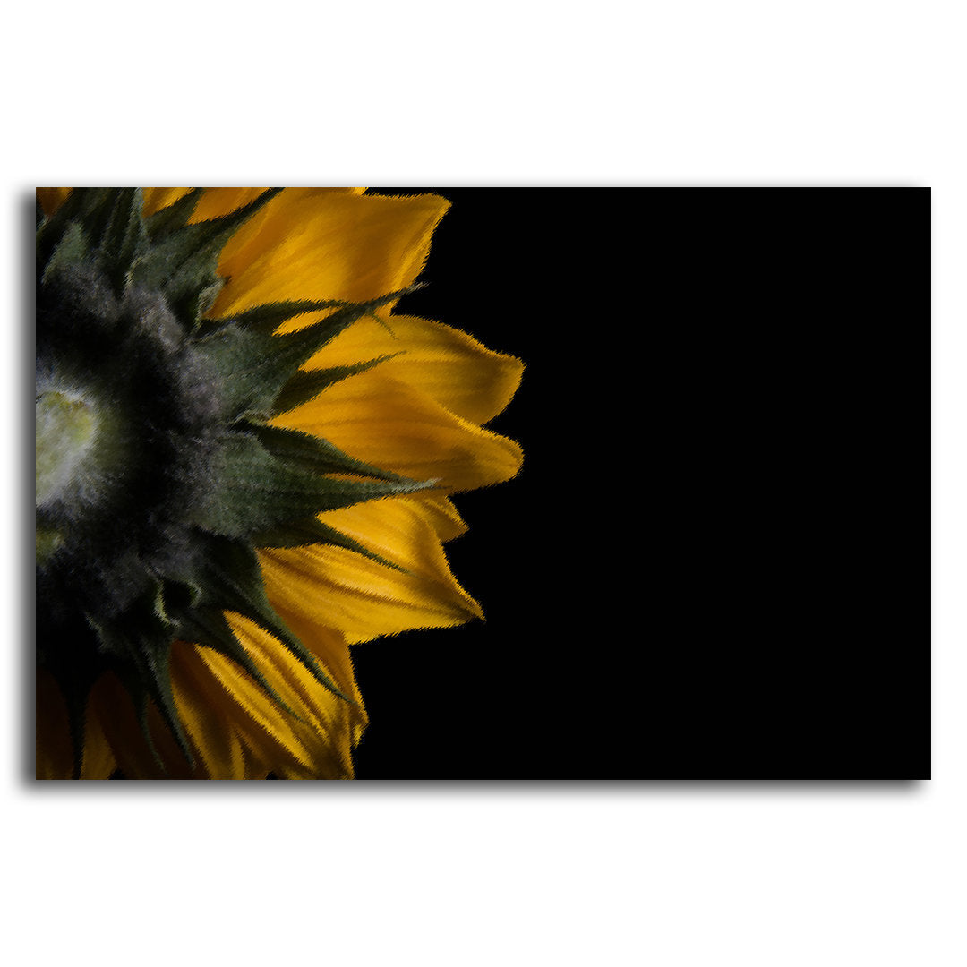 Brush Strokes Backside of Sunflower - Adhesive Wallpaper - Removable Wallpaper - Wall Sticker - Full Size Wall Mural  - PIPAFINEART